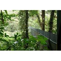 Monteverde Cloud Forest and Butterfly Garden from Guanacaste