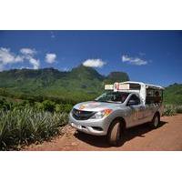 Moorea 4WD Tour Including Belvedere Pineapple Farm and Magic Mountain