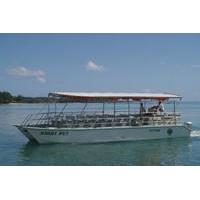 Moorea Lagoon Cruise and Island Picnic