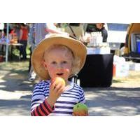 Mornington Peninsula Markets Shuttle by Boat from Phillip Island