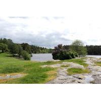 Mountain Bike Ride In The Parks Of Stockholm