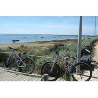 Moncarapacho - Tavira mountain and hybrid bike tour