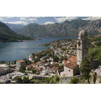 Montenegro Coast Experience