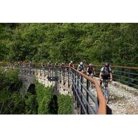 Mountain Biking Parenzana Trail