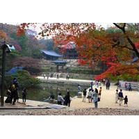 Morning Cultural Tour: UNESCO World Heritage Sites in Seoul