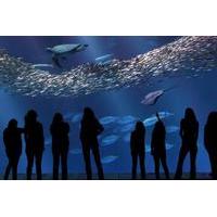 Monterey Bay Aquarium Admission