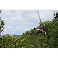 Montego Bay Ultimate Zipline Adventure