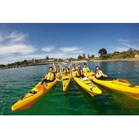 Mornington Peninsula Kayak Coastline Tour of Dolphin Sanctuary