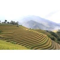 Morning Central Highlands Hilltribe Visit from Sapa