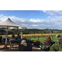 Mornington Peninsula Wine and Cheese Tasting Day Trip from Melbourne