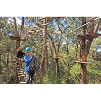 Mornington Peninsula Enchanted Adventure Garden Ziplining and Canopy Tour