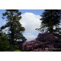 MOORLANDS - BED AND BREAKFAS