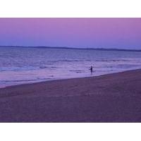 Moore Park Beach Motel