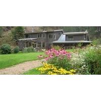 Mountain Springs Nature Retreat B&B