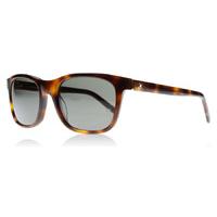 mont blanc 507s sunglasses tortoise 52d