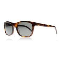 mont blanc mb507s 52d tortoise