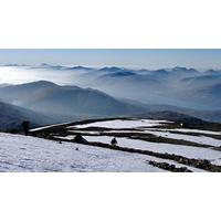 mountain walk on ben nevis