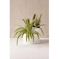 Mod 7\" Double Planter, WHITE