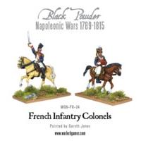 Mounted French Colonel Miniatures