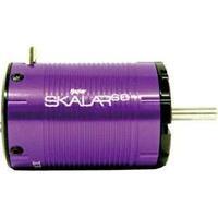 Model car brushless motor Hacker Skalar SC kV (RPM per volt): 5000 Turns: 4.5