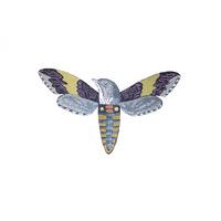 Moth-Bird 2 By Penelope Kenny