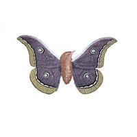 Moth-Bird 1 By Penelope Kenny