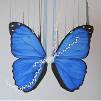 Morpho - Gold By Louise McNaught