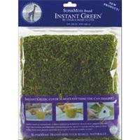 Moss Mat 18 x 16 inch 246284