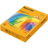 Mondi Maestro color (AG10A80)