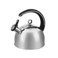 morphy richards accents 25l stainless whistling kettle 46505