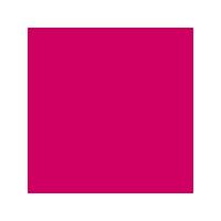 montana gold matt spray paints 100 magenta each