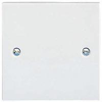 Moulded 1 gang blank plate