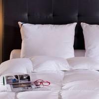 Moscova SUPRELLE DUV TOUCH Synthetic Pillow