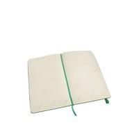 Moleskine Large 18 2014 Weekly Turntable Notebook - Green