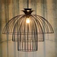 Modern Lantana hanging light