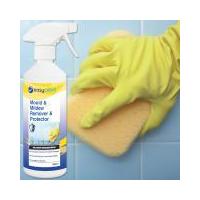 Mould & Mildew Remover / Protector