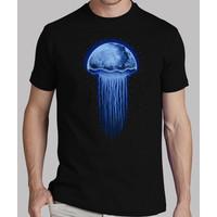Moon Jellyfish