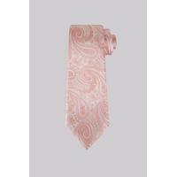 Moss 1851 Coral Paisley Silk Tie