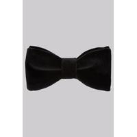Moss 1851 Black Velvet Bow Tie