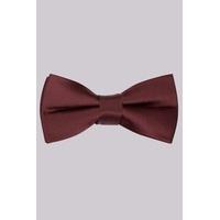 Moss London Wine Bow Tie