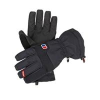 Mountain AQ Hardshell Glove - Black