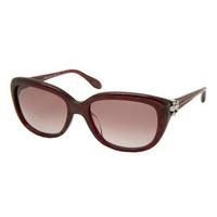 Moschino Sunglasses MO 709 03