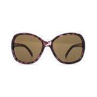 monkey monkey square sunglasses