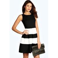 Monochrome Skater Dress - black