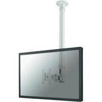 Monitor ceiling mount 25, 4 cm (10\") - 76, 2 cm (30\") Swivelling/tiltable, Swivelling NewStar Products FPMA-C100WHITE
