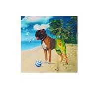 Mr Love Pants By Storm Thorgerso...