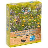 Mr Fothergill\'s RSPB Seed Mix - Flowers for Pollinators and Beneficial Insects