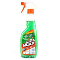 Mr Muscle Window Cleaner Spray