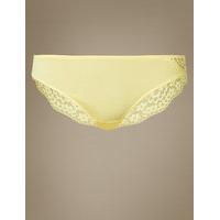 ms collection vintage lace brazilian knickers