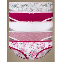 ms collection 5 pack pure cotton bikini knickers